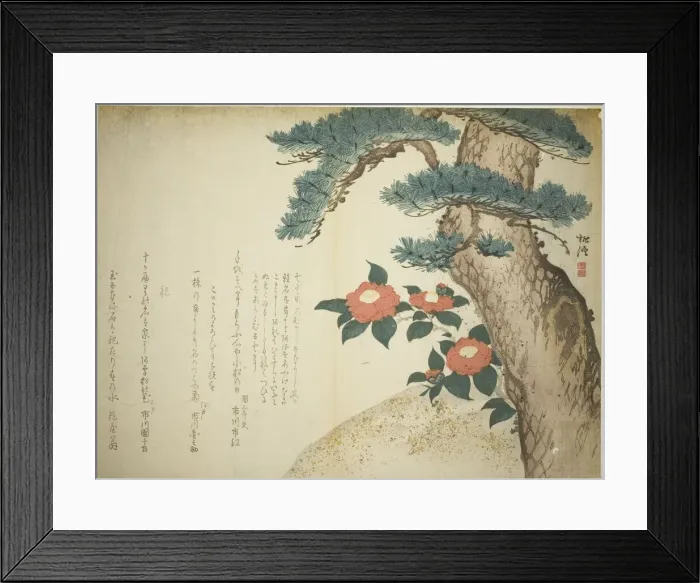 Framed Print : A Pine Tree and Camellias, c. 1815. Creator: Niwa Tokei Framed Print : A Pine Tree and Camellias, c. 1815. Creator: Niwa Tokei