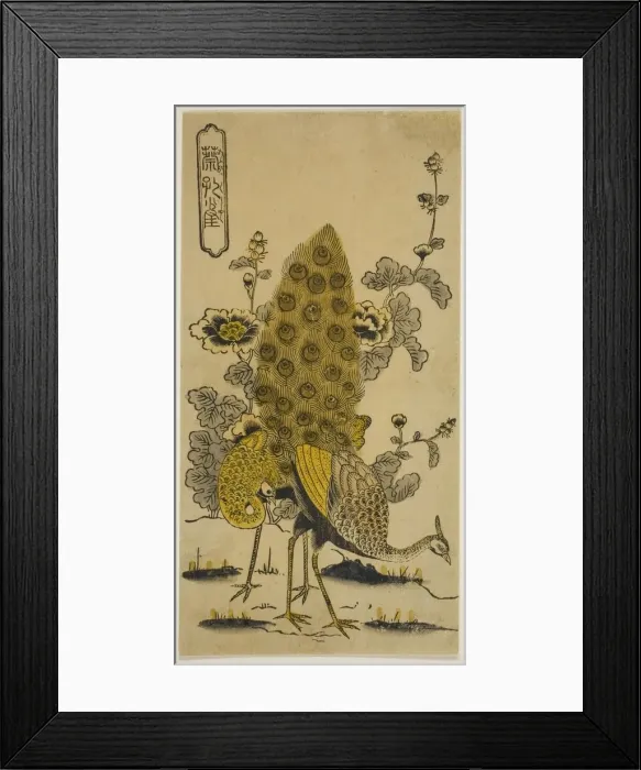 Framed Print : Hollyhocks and Peacocks (Aoi ni kujaku), early 1730s. Creator: Nishimura Shigenobu Framed Print : Hollyhocks and Peacocks (Aoi ni kujaku), early 1730s. Creator: Nishimura Shigenobu