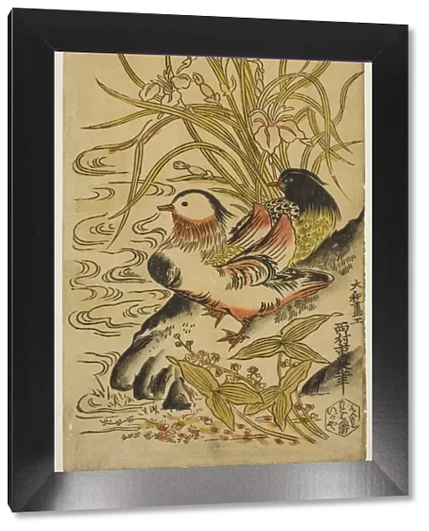 Mandarin Ducks, from the series 'Kashinsai', c. 1725  /  27