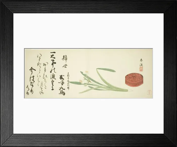Framed Print : Narcissus and lacquer box, Japan, c. 1820s / 30s. Creator: Mori Shunkei Framed Print : Narcissus and lacquer box, Japan, c. 1820s / 30s. Creator: Mori Shunkei