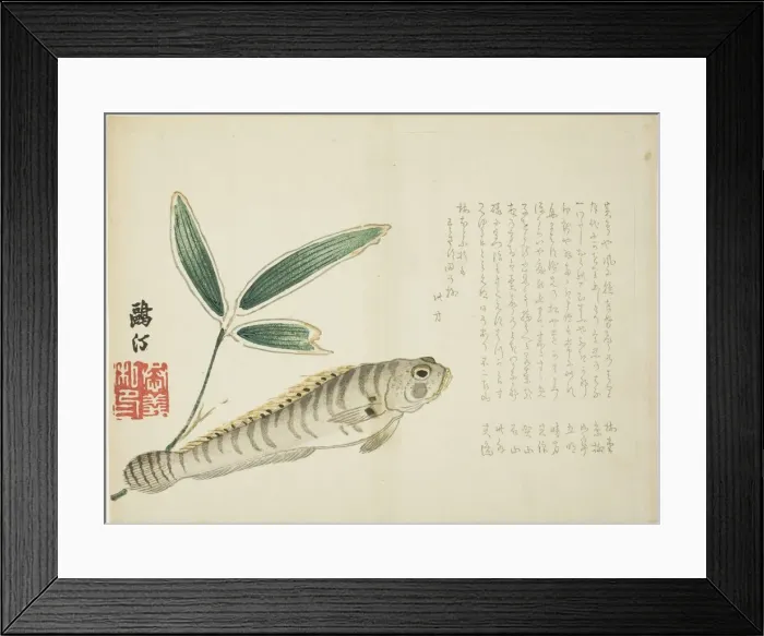 Framed Print : Fish and Bamboo, Japan, 1860s. Creator: Maezawa Otei Framed Print : Fish and Bamboo, Japan, 1860s. Creator: Maezawa Otei