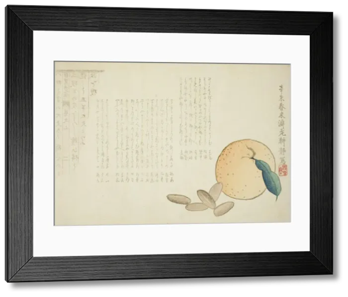 Framed Print : Tangerine and Chinese Legend, Japan, spring 1871. Creator: Kosei Framed Print : Tangerine and Chinese Legend, Japan, spring 1871. Creator: Kosei