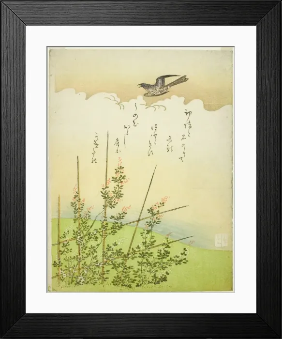Framed Print : Cuckoo flying over deutzia flowers, Japan, c. 1766. Creator: Komatsuya Hyakki Framed Print : Cuckoo flying over deutzia flowers, Japan, c. 1766. Creator: Komatsuya Hyakki