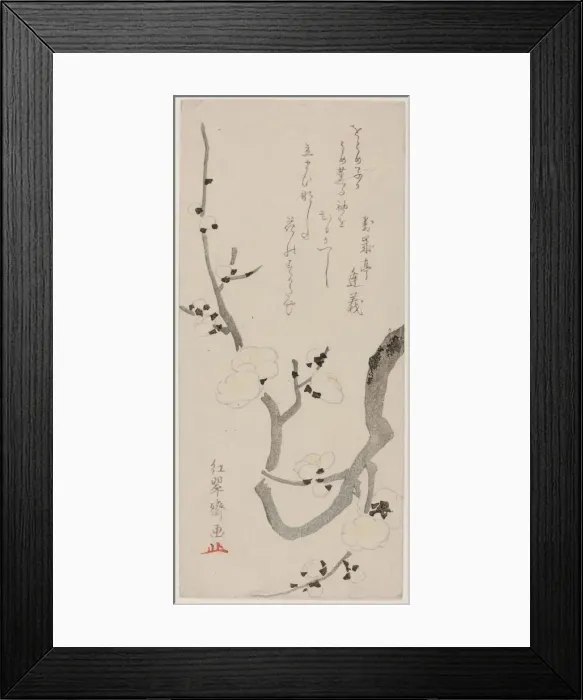 Framed Print : Plum Branch, Japan, late 18th century. Creator: Kitao Shigemasa Framed Print : Plum Branch, Japan, late 18th century. Creator: Kitao Shigemasa