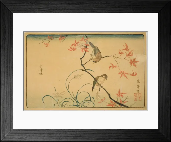 Framed Print : Society Finches (Jushimatsu), Japan, 1790s. Creator: Kitao Masayoshi Framed Print : Society Finches (Jushimatsu), Japan, 1790s. Creator: Kitao Masayoshi