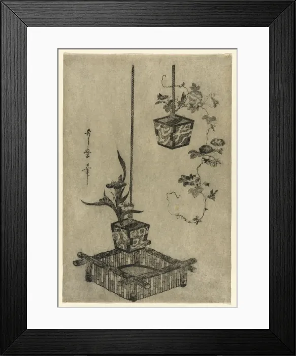 Framed Print : Arrangements of Irises and Morning Glories, Japan, About 1785. Creator: Kitagawa Utamaro Framed Print : Arrangements of Irises and Morning Glories, Japan, About 1785. Creator: Kitagawa Utamaro