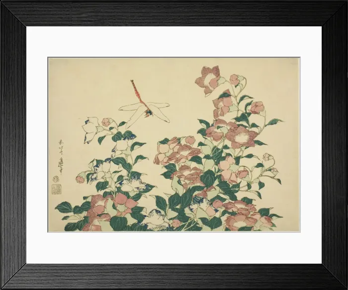 Framed Print : Bell-Flower and Dragonfly, from an untitled series of large flowers, Japan, c. 1833 / 34 Framed Print : Bell-Flower and Dragonfly, from an untitled series of large flowers, Japan, c. 1833 / 34