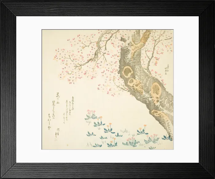 Framed Print : Dandelions and clovers beneath cherry tree, Japan, c. 1807. Creator: Hokusai Framed Print : Dandelions and clovers beneath cherry tree, Japan, c. 1807. Creator: Hokusai