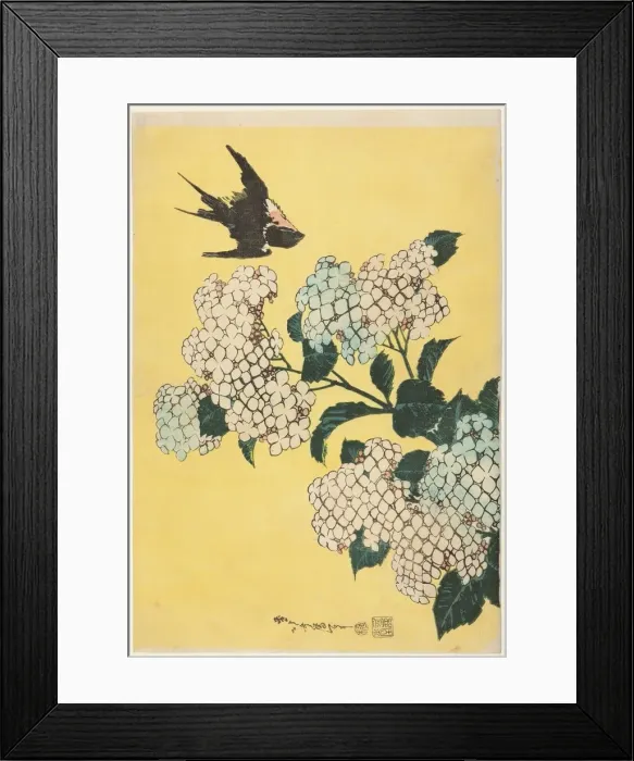 Framed Print : Hydrangea and Swallow, from an untitled series of large flowers, Japan, c. 1833 / 34 Framed Print : Hydrangea and Swallow, from an untitled series of large flowers, Japan, c. 1833 / 34