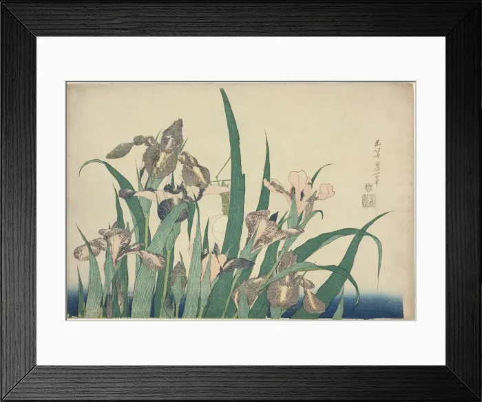 Framed Print : Iris and Grasshopper, from an untitled series of large flowers, Japan, c. 1833 / 34 Framed Print : Iris and Grasshopper, from an untitled series of large flowers, Japan, c. 1833 / 34