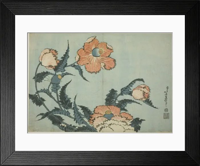 Framed Print : Poppies, from an untitled series of flowers, Japan, c. 1832. Creator: Hokusai Framed Print : Poppies, from an untitled series of flowers, Japan, c. 1832. Creator: Hokusai