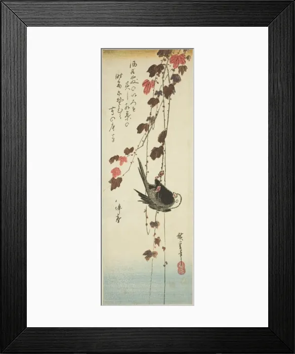 Framed Print : White-headed bird and ivy, mid-1830s. Creator: Ando Hiroshige Framed Print : White-headed bird and ivy, mid-1830s. Creator: Ando Hiroshige