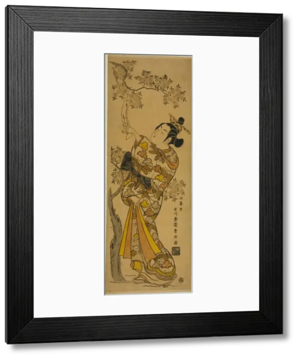 Framed Print : Young Woman Reading Tanzaku Tied to a Cherry Tree, c. 1741. Creator: Ishikawa Toyonobu Framed Print : Young Woman Reading Tanzaku Tied to a Cherry Tree, c. 1741. Creator: Ishikawa Toyonobu