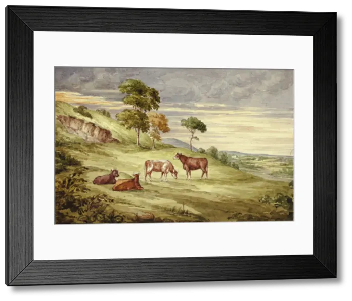 Framed Print : Deer Park, possibly Kilkenny, 1843. Creator: Elizabeth Murray Framed Print : Deer Park, possibly Kilkenny, 1843. Creator: Elizabeth Murray