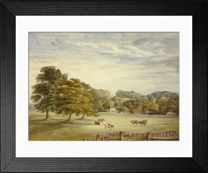 Framed Print : Six Cows Grazing before Country House, n. d. Creator: Elizabeth Murray Framed Print : Six Cows Grazing before Country House, n. d. Creator: Elizabeth Murray