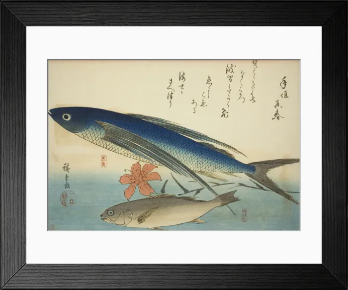 Framed Print : Flying fish and Ichimochi, from an untitled series of fish, c. 1840 / 42. Creator: Ando Hiroshige Framed Print : Flying fish and Ichimochi, from an untitled series of fish, c. 1840 / 42. Creator: Ando Hiroshige