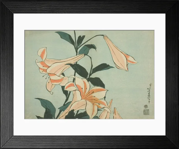 Framed Print : Lilies, from an untitled series of Large Flowers, Japan, c. 1833 / 34. Creator: Hokusai Framed Print : Lilies, from an untitled series of Large Flowers, Japan, c. 1833 / 34. Creator: Hokusai