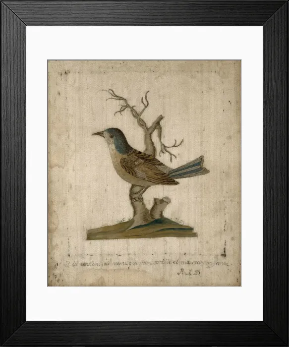 Framed Print : Picture of a Bird, France, 18th century. Creator: Unknown Framed Print : Picture of a Bird, France, 18th century. Creator: Unknown