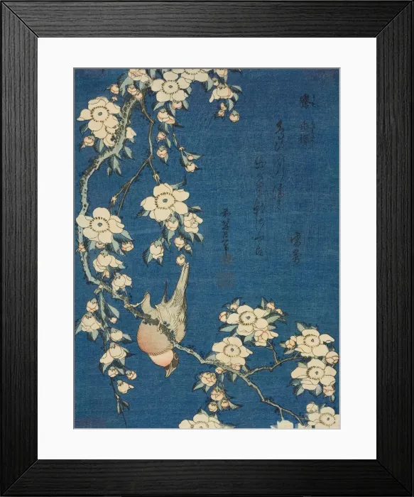 Framed Print : Bullfinch and Weeping Cherry (Uso, shidarezakura), from an untitled series of flowers Framed Print : Bullfinch and Weeping Cherry (Uso, shidarezakura), from an untitled series of flowers