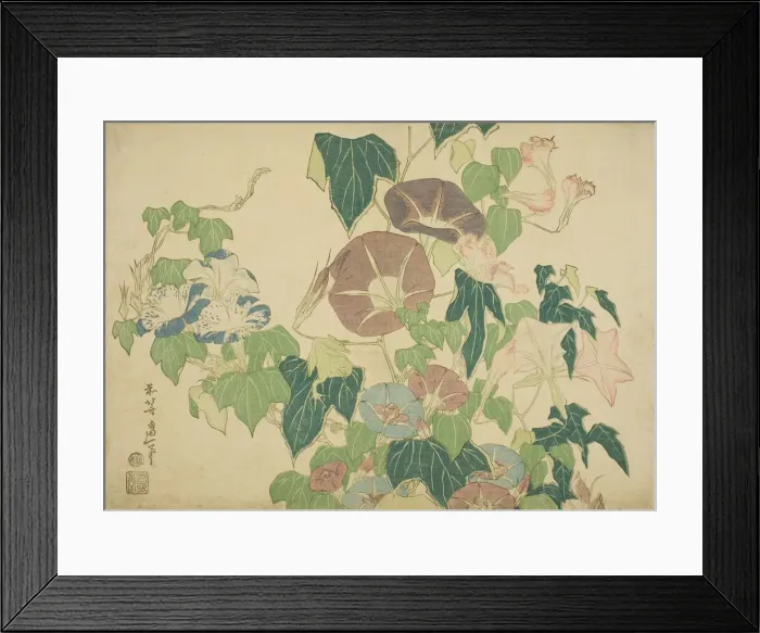 Framed Print : Morning Glories and Tree-frog, from an untitled series of Large Flowers, Japan, c Framed Print : Morning Glories and Tree-frog, from an untitled series of Large Flowers, Japan, c
