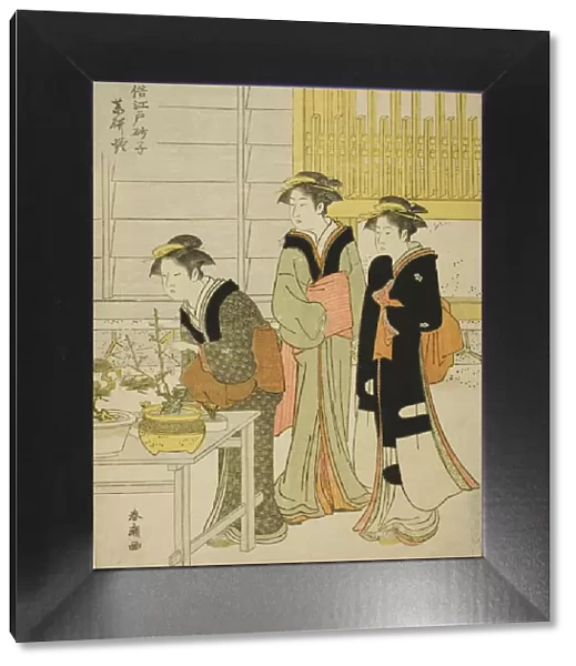 Yagenbori, from the series 'Fashionable Sands of Edo (Fuzoku Edo sunago)', c