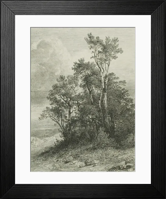 Framed Print : Alpine Landscape, 1861. Creator: Alexandre Calame Framed Print : Alpine Landscape, 1861. Creator: Alexandre Calame