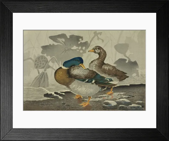 Framed Print : A pair of ducks by a lotus pond, Japan, 1879. Creator: Kobayashi Kiyochika Framed Print : A pair of ducks by a lotus pond, Japan, 1879. Creator: Kobayashi Kiyochika