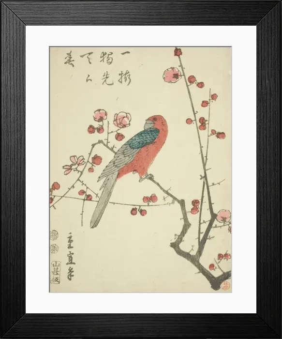 Framed Print : Parrot on plum branch, c. 1848 / 52. Creator: Utagawa Hiroshige II Framed Print : Parrot on plum branch, c. 1848 / 52. Creator: Utagawa Hiroshige II