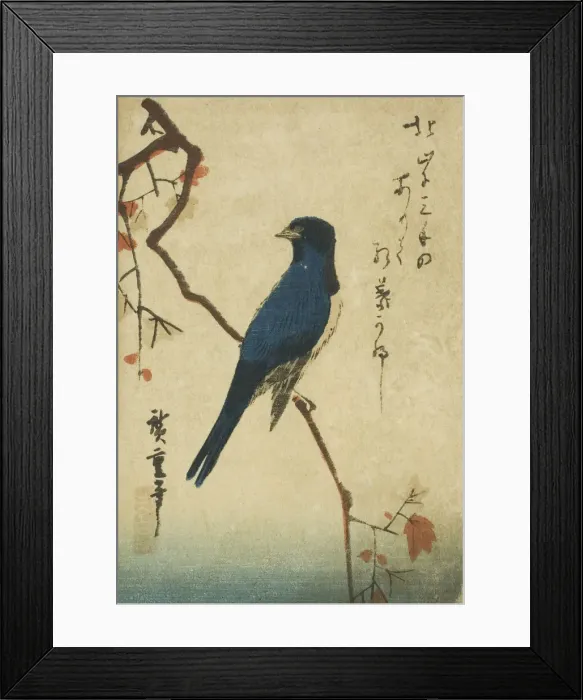Framed Print : Blue bird on maple branch, n. d. Creator: Ando Hiroshige Framed Print : Blue bird on maple branch, n. d. Creator: Ando Hiroshige
