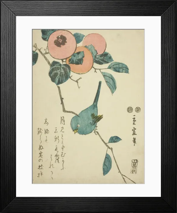 Framed Print : Japanese white-eye and persimmons, c. 1847 / 52. Creator: Utagawa Hiroshige II Framed Print : Japanese white-eye and persimmons, c. 1847 / 52. Creator: Utagawa Hiroshige II