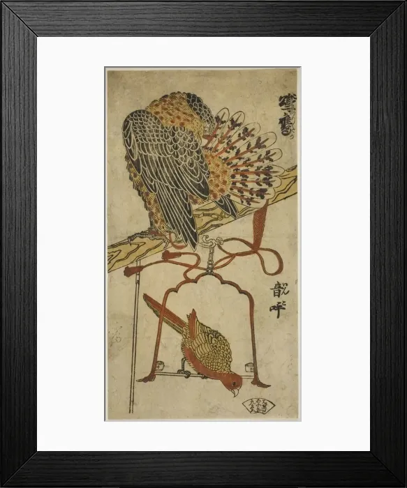 Framed Print : Sparrowhawk and Macaw (Konori taka, inko), c. 1718. Creator: Torii Kiyomasu I Framed Print : Sparrowhawk and Macaw (Konori taka, inko), c. 1718. Creator: Torii Kiyomasu I