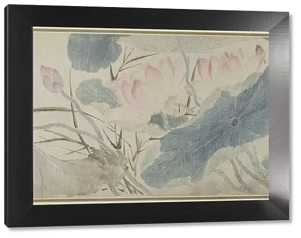 Flowering Lotus, Ming dynasty (1368-1644), 1543. Creator: Chen Shun