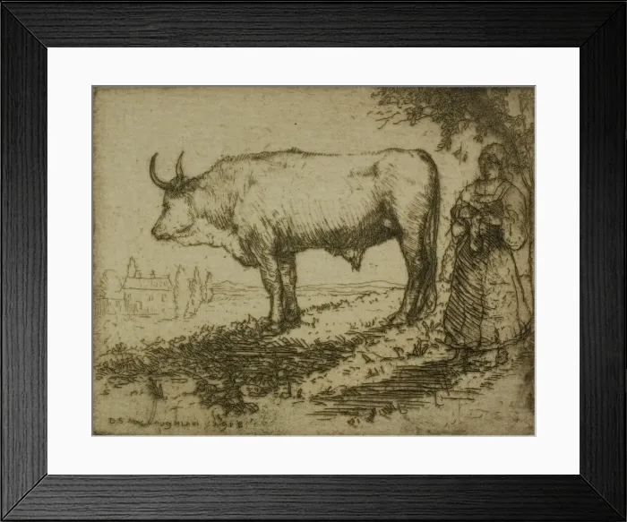 Framed Print : The White Ox, 1905. Creator: Donald Shaw MacLaughlan Framed Print : The White Ox, 1905. Creator: Donald Shaw MacLaughlan
