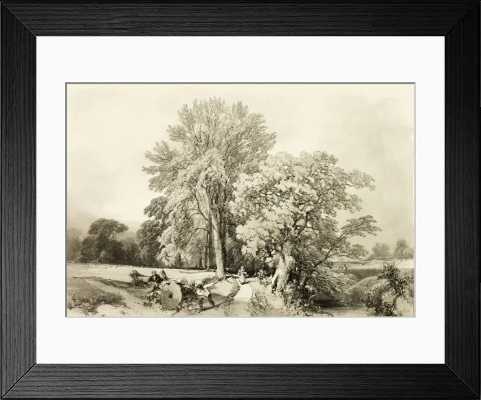 Framed Print : Abele and Oak, from The Park and the Forest, 1841. Creator: James Duffield Harding Framed Print : Abele and Oak, from The Park and the Forest, 1841. Creator: James Duffield Harding
