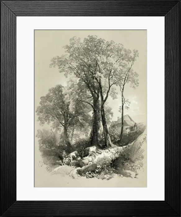 Framed Print : Shipley Bridge, Devon, from Picturesque Selections, 1859. Creator: James Duffield Harding Framed Print : Shipley Bridge, Devon, from Picturesque Selections, 1859. Creator: James Duffield Harding