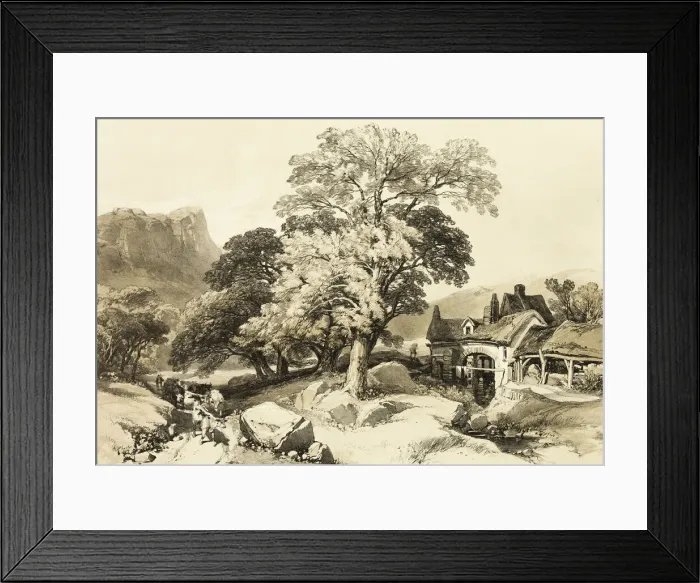 Framed Print : Ash and Oak, from The Park and the Forest, 1841. Creator: James Duffield Harding Framed Print : Ash and Oak, from The Park and the Forest, 1841. Creator: James Duffield Harding