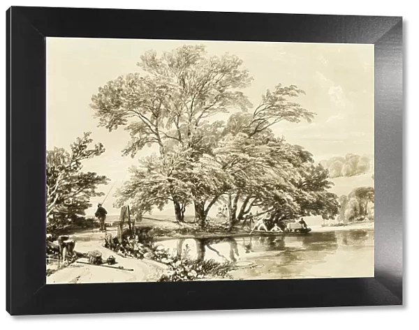 Common Willow, from The Park and the Forest, 1841. Creator: James Duffield Harding