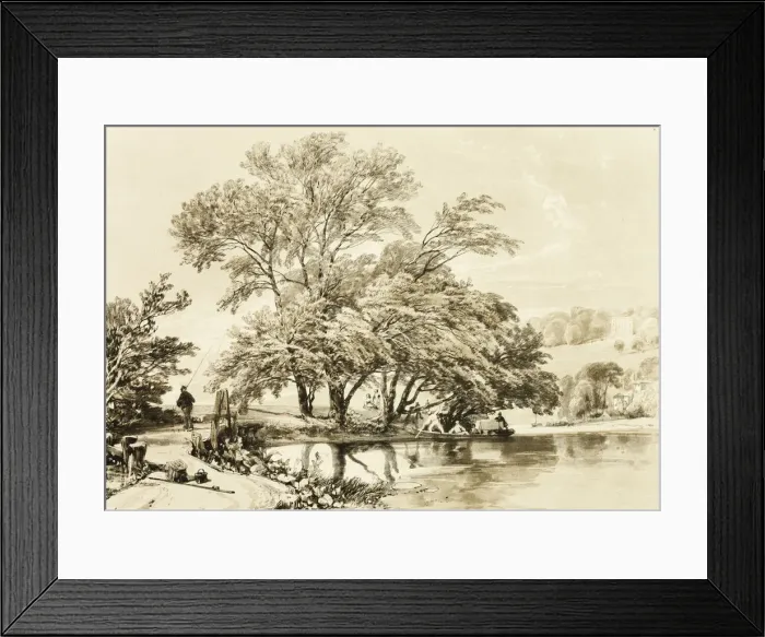 Framed Print : Common Willow, from The Park and the Forest, 1841. Creator: James Duffield Harding Framed Print : Common Willow, from The Park and the Forest, 1841. Creator: James Duffield Harding