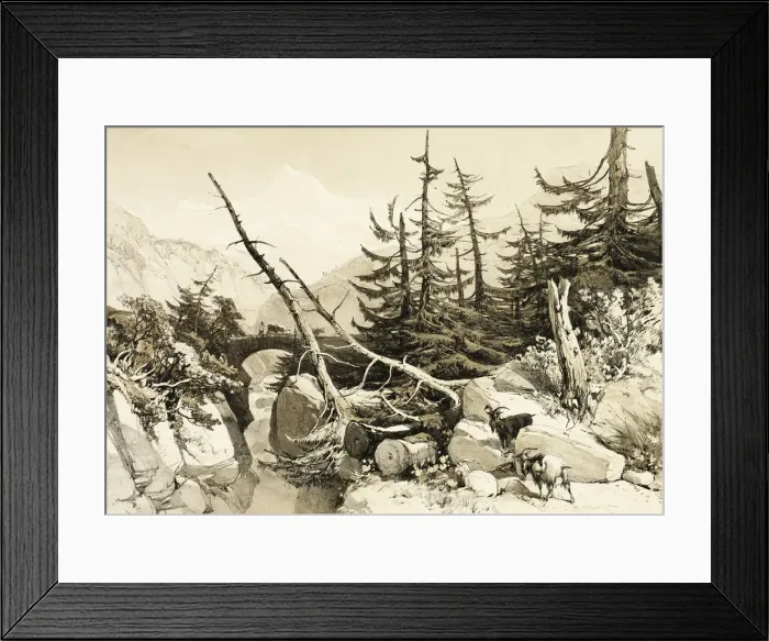 Framed Print : Larch, from The Park and the Forest, 1841. Creator: James Duffield Harding Framed Print : Larch, from The Park and the Forest, 1841. Creator: James Duffield Harding