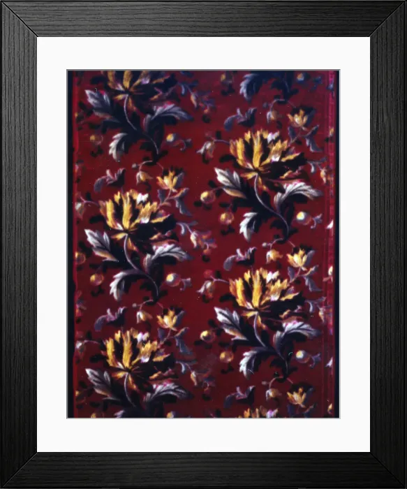 Framed Print : Panel (Dress Fabric), France, c. 1885. Creator: Unknown Framed Print : Panel (Dress Fabric), France, c. 1885. Creator: Unknown
