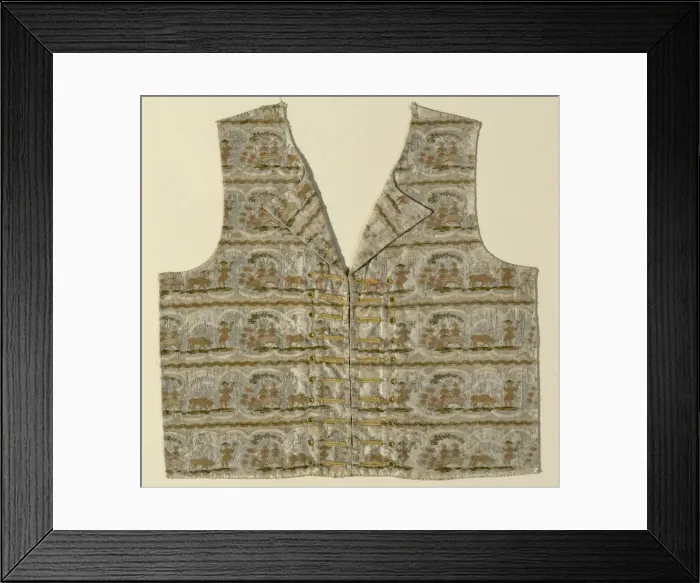 Framed Print : Portion of a Waistcoat (Front), France, 1775 / 1800. Creator: Unknown Framed Print : Portion of a Waistcoat (Front), France, 1775 / 1800. Creator: Unknown