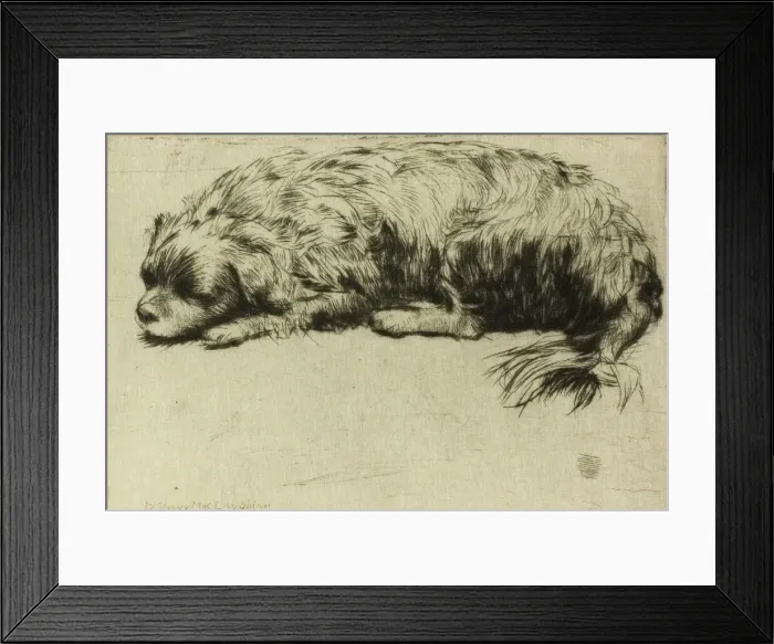 Framed Print : Jack, 1902. Creator: Donald Shaw MacLaughlan Framed Print : Jack, 1902. Creator: Donald Shaw MacLaughlan