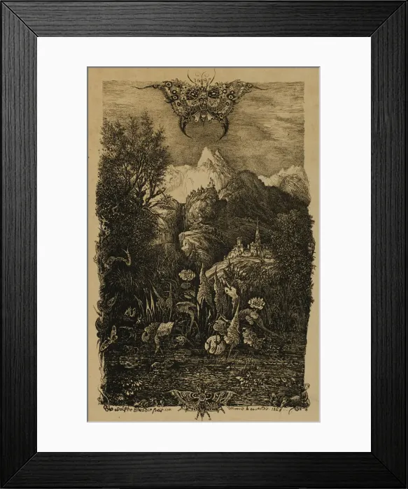 Framed Print : The Butterfly and the Pond, 1868. Creator: Rodolphe Bresdin Framed Print : The Butterfly and the Pond, 1868. Creator: Rodolphe Bresdin