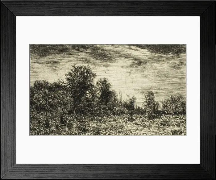 Framed Print : Edge of a Wood, under Cloudy Sky, 1846. Creator: Charles Emile Jacque Framed Print : Edge of a Wood, under Cloudy Sky, 1846. Creator: Charles Emile Jacque