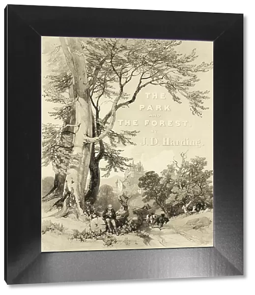 Beech and Oak (Frontispiece), from The Park and the Forest, 1841