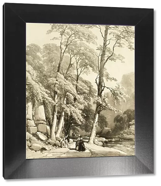 Sycamore, from The Park and the Forest, 1841. Creator: James Duffield Harding