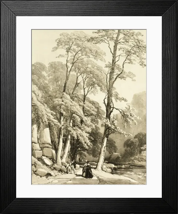 Framed Print : Sycamore, from The Park and the Forest, 1841. Creator: James Duffield Harding Framed Print : Sycamore, from The Park and the Forest, 1841. Creator: James Duffield Harding