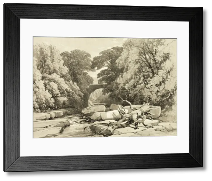 Framed Print : Ash and Alder on the Greta, from The Park and the Forest, 1841 Framed Print : Ash and Alder on the Greta, from The Park and the Forest, 1841
