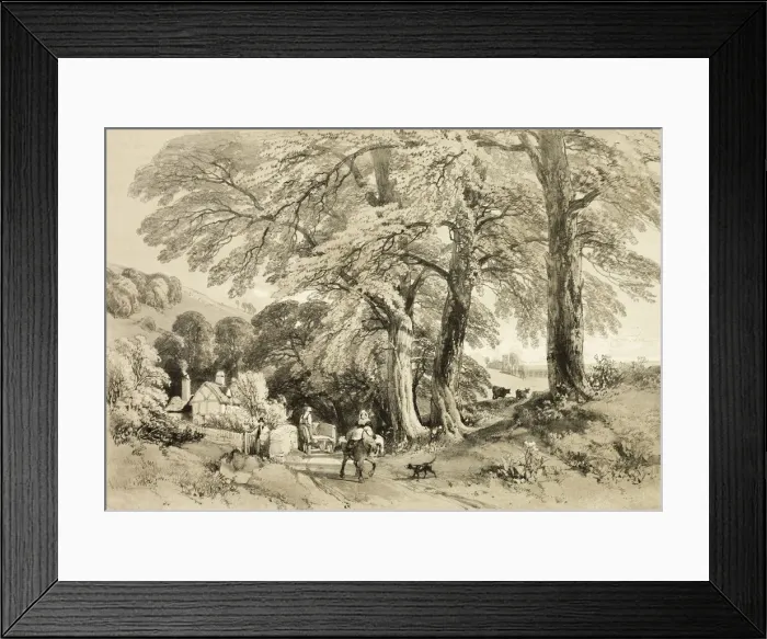 Framed Print : Wych Elm, from The Park and the Forest, 1841. Creator: James Duffield Harding Framed Print : Wych Elm, from The Park and the Forest, 1841. Creator: James Duffield Harding