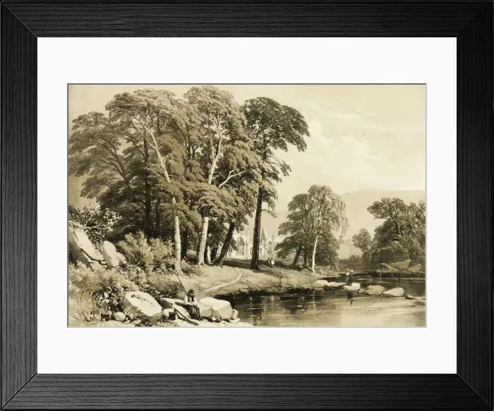 Framed Print : Black Poplar, from The Park and the Forest, 1841. Creator: James Duffield Harding Framed Print : Black Poplar, from The Park and the Forest, 1841. Creator: James Duffield Harding
